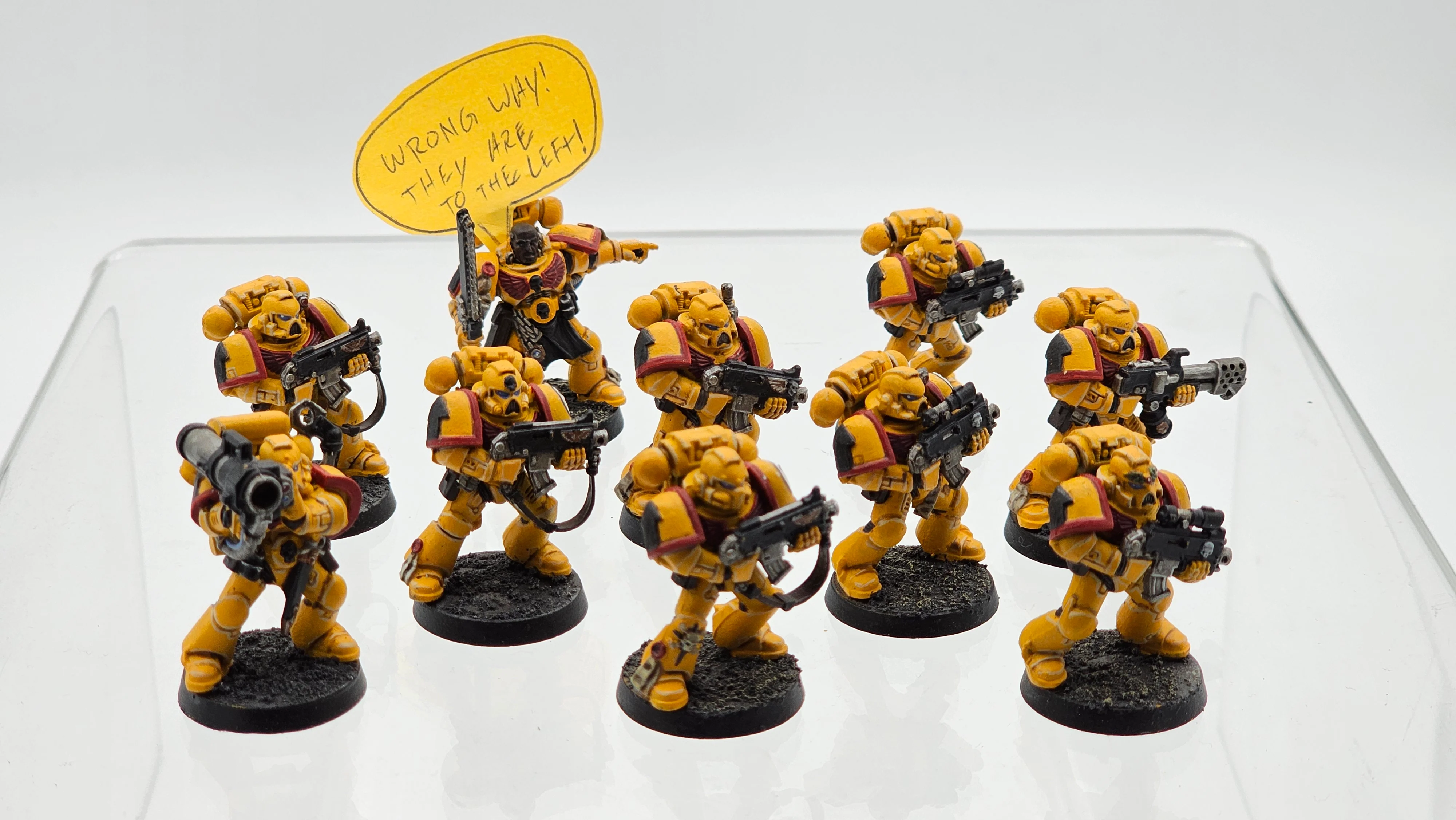 40K: Adeptus Astartes: Space Marines - Tactical Squad (USED) [LOT #1]