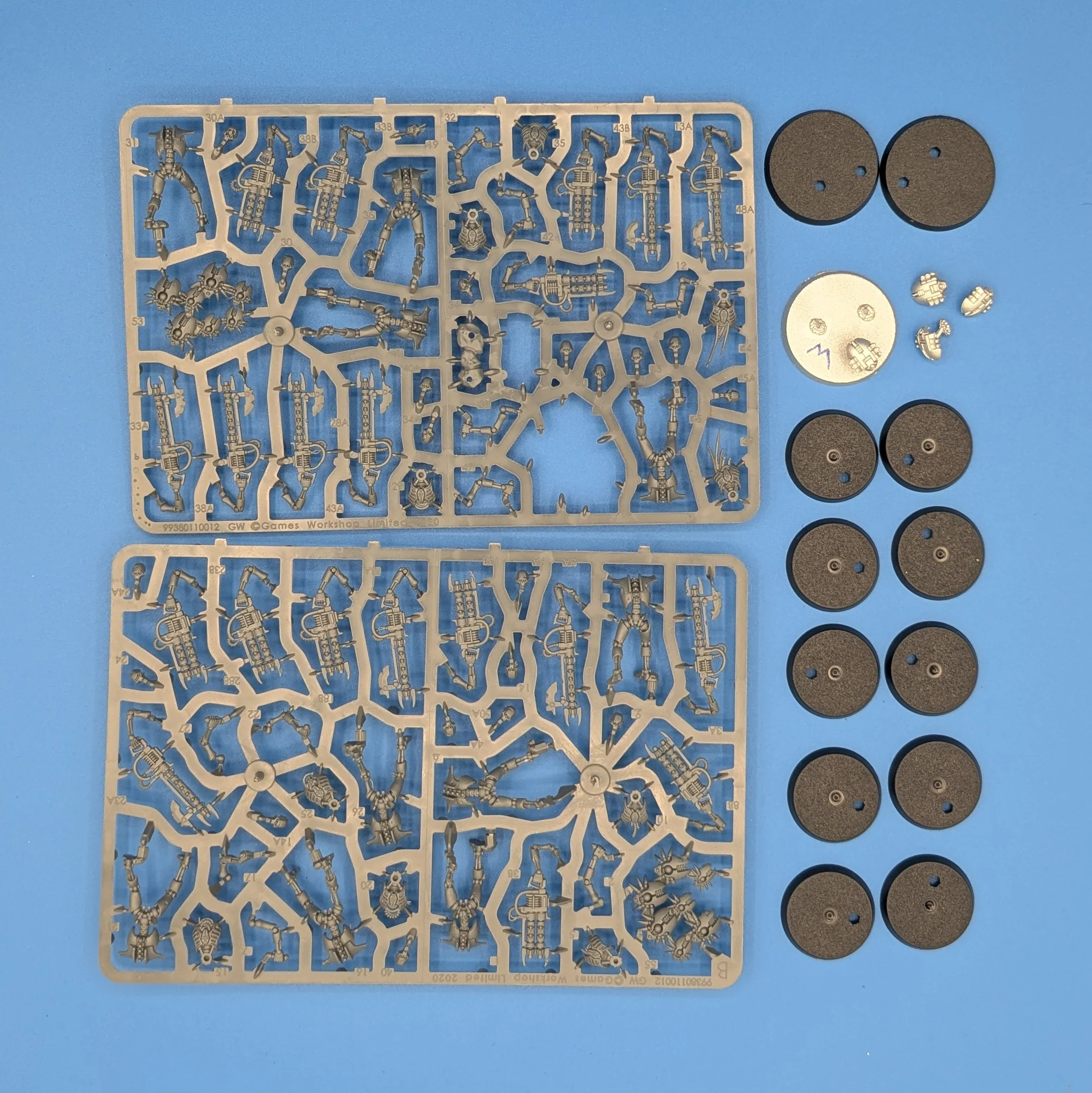 40K: Necrons - Warriors (USED) (On Sprue) Lot 2