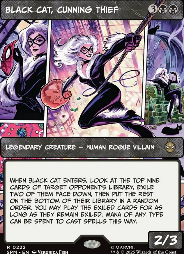 Black Cat, Cunning Thief [ #0222 Borderless ] (SPM-R) - Image 2
