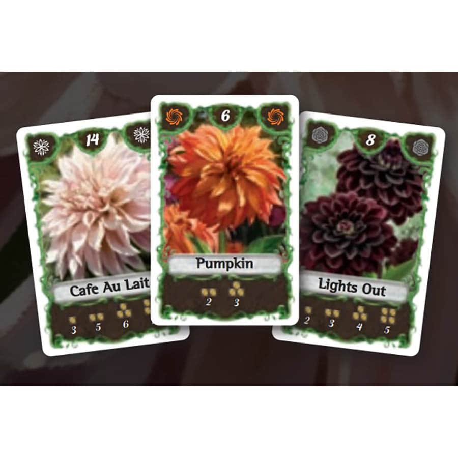 Bohnanza Dahlias - Image 3