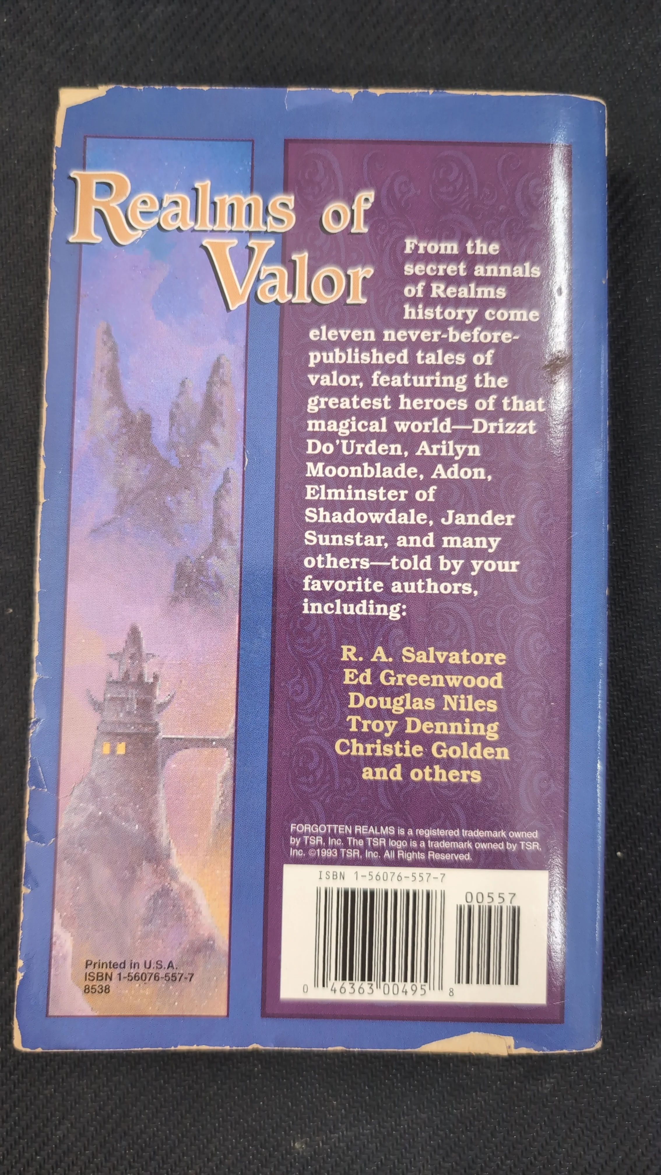 Forgotten Realms: Realms of Valor [ Paperback ] (USED) - Image 2