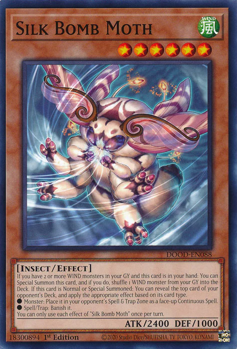 Silk Bomb Moth (DOOD-EN088)
