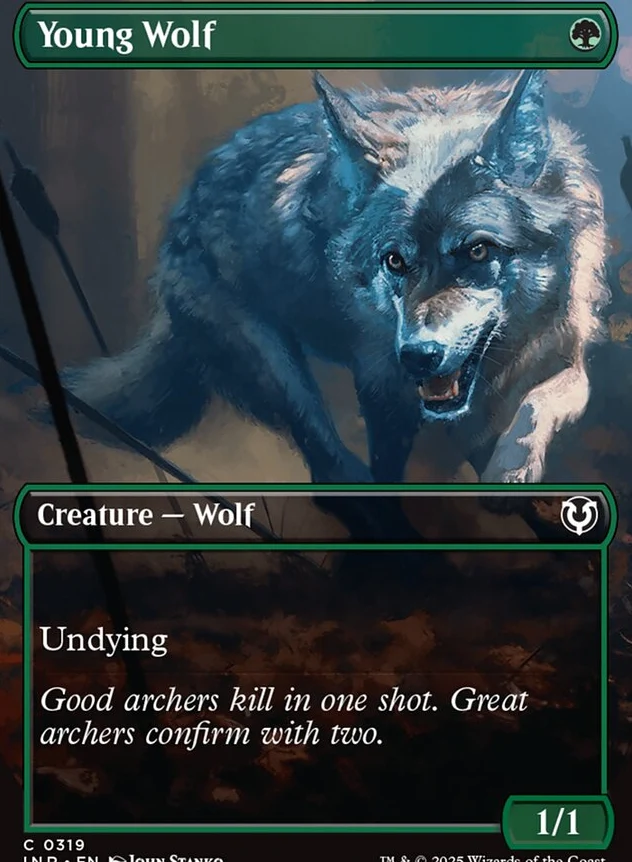 Young Wolf [ #0319 Borderless ] (INR-C)